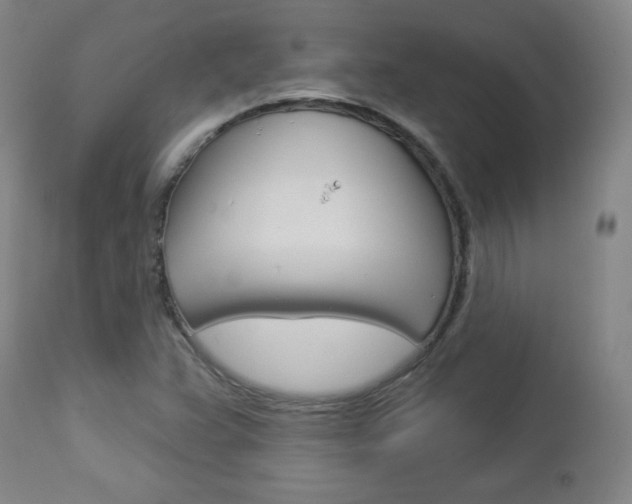 X0000112961359200908270909