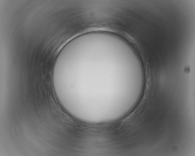 X0000112961361200908270909