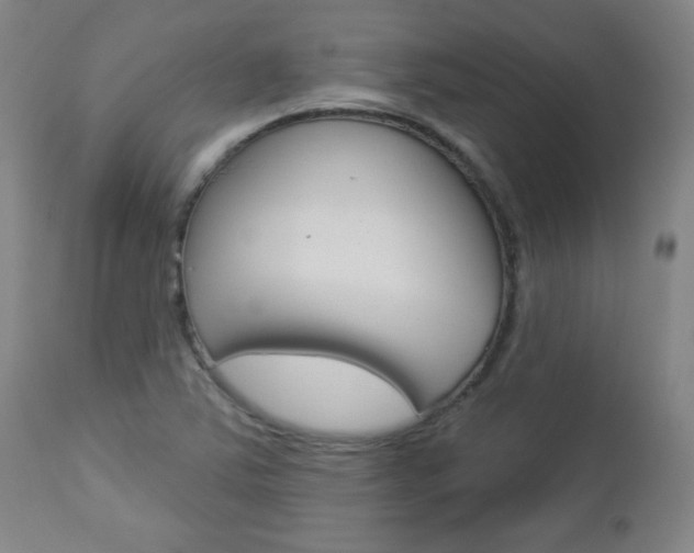X0000112961363200908270909