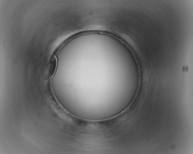 X0000112961364200908270909