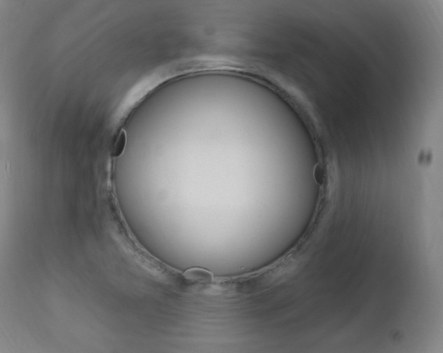 X0000112961365200908270909