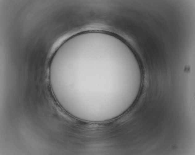 X0000112961366200908270909