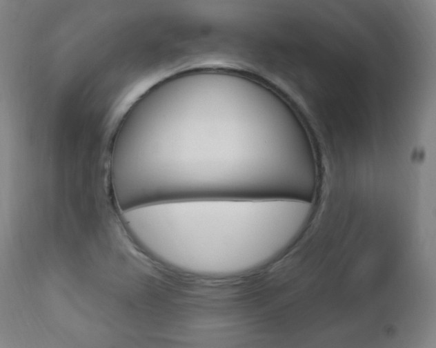 X0000112961367200908270909
