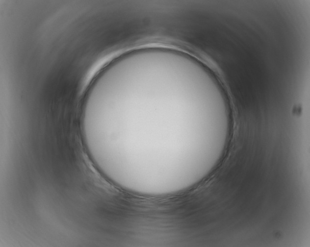 X0000112961368200908270909