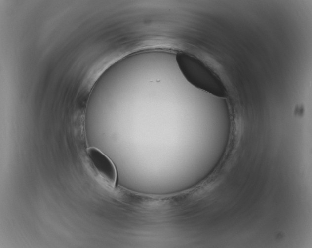 X0000112961369200908270909