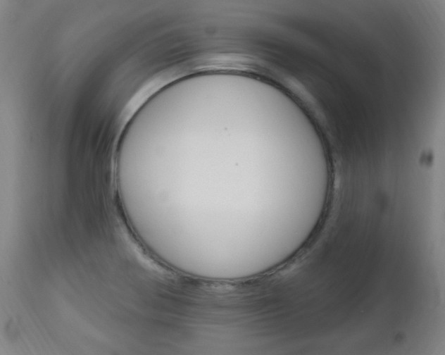 X0000112961370200908270909