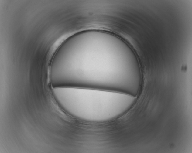 X0000112961371200908270909