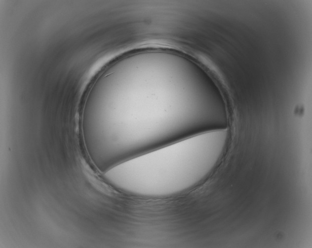 X0000112961372200908270909