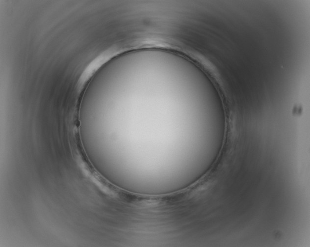 X0000112961373200908270909