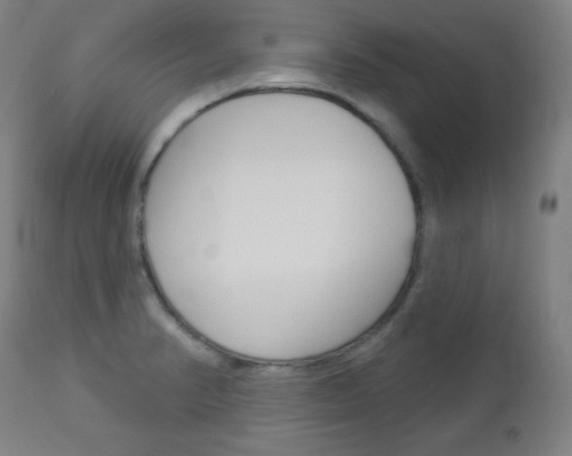 X0000112961374200908270909