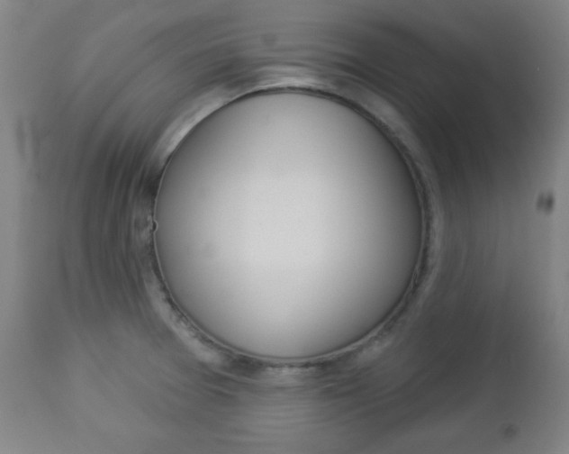 X0000112961377200908270909