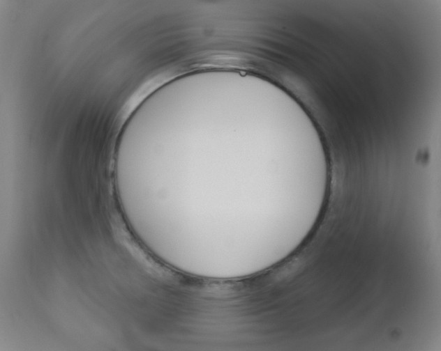 X0000112961378200908270909