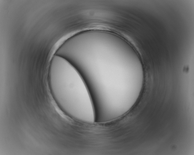 X0000112961379200908270909