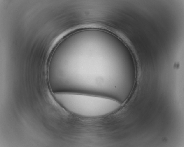 X0000112961380200908270909