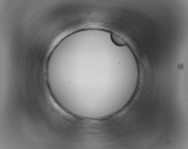 X0000112961382200908270909