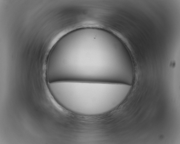 X0000112961383200908270909