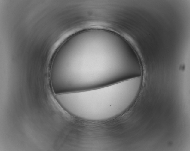 X0000112961384200908270909