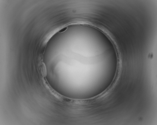X0000112961385200908270909