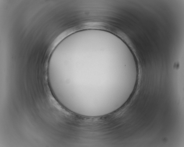 X0000112961386200908270909