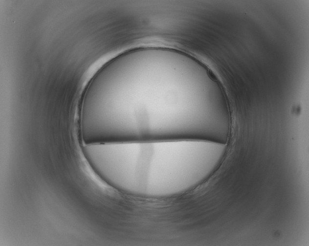 X0000112961387200908270908