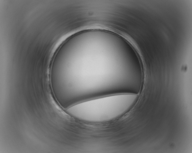 X0000112961388200908270908