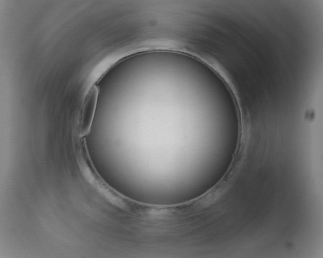X0000112961389200908270908