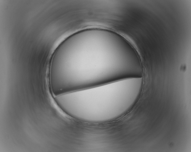 X0000112961391200908270908