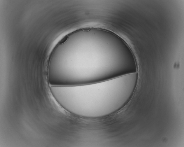 X0000112961392200908270908