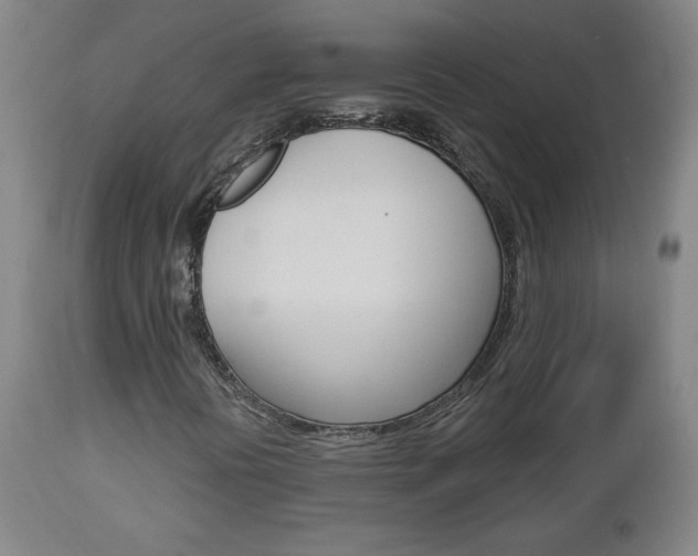 X0000112961394200908270908