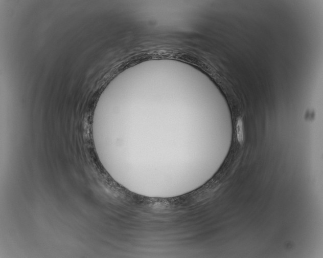 X0000112961395200908270908