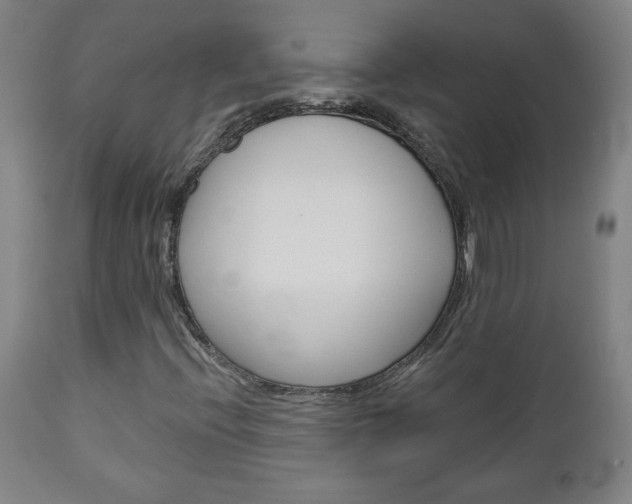 X0000112961396200908270908