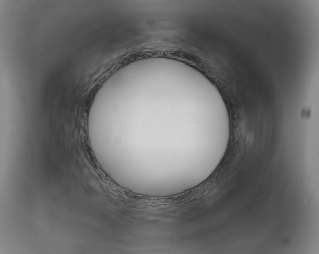 X0000112961397200908270908