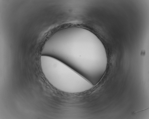 X0000112961398200908270908