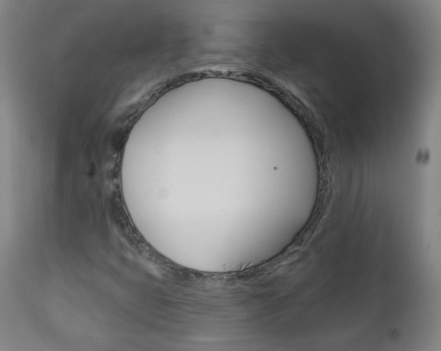 X0000112961399200908270908