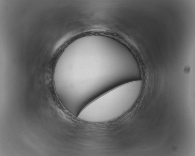 X0000112961400200908270908