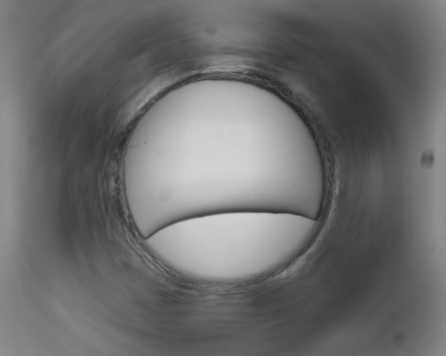 X0000112961401200908270908