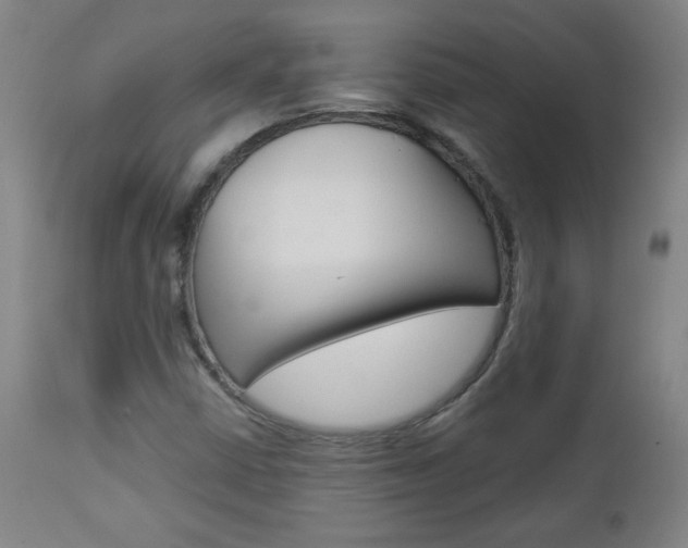 X0000112961402200908270908