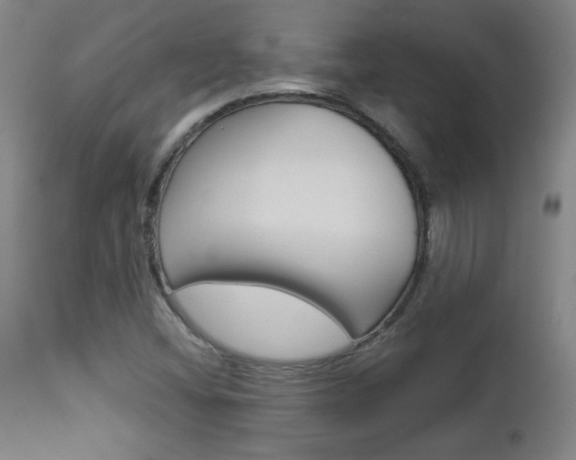 X0000112961404200908270908