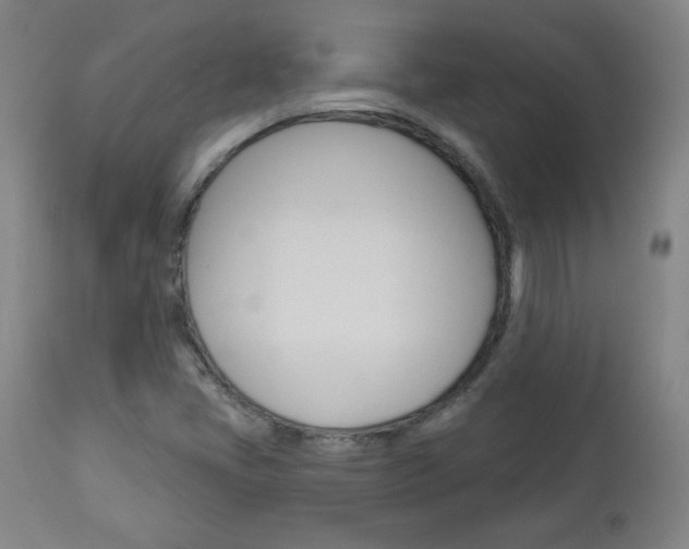 X0000112961405200908270908