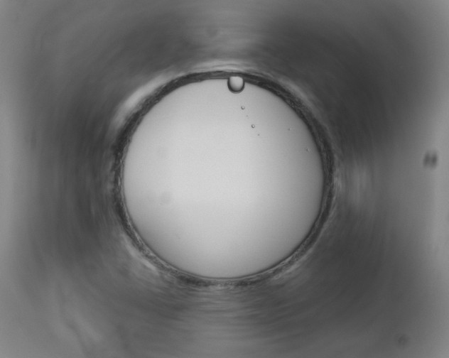 X0000112961406200908270908