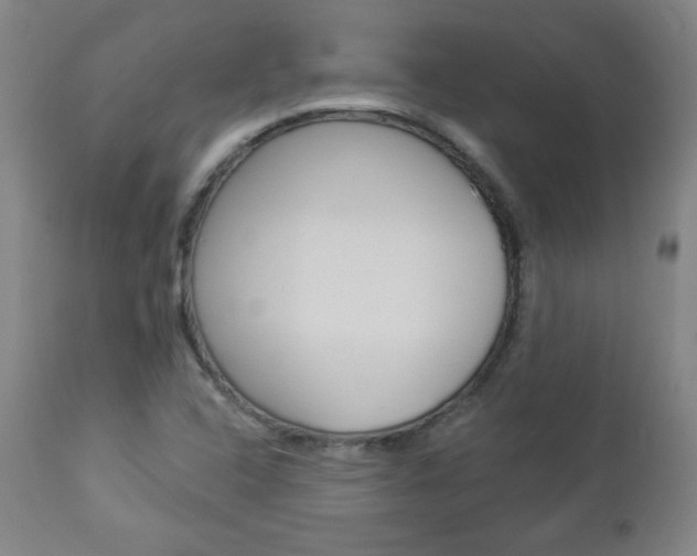 X0000112961408200908270908