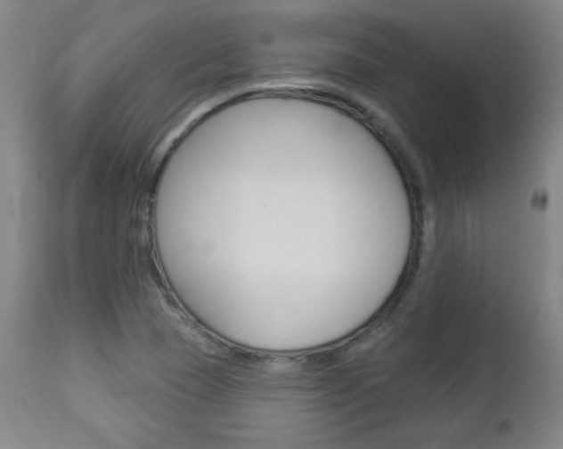 X0000112961409200908270908