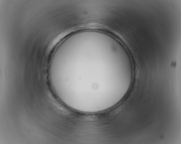 X0000112961410200908270908