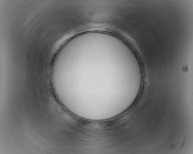 X0000112961411200908270908