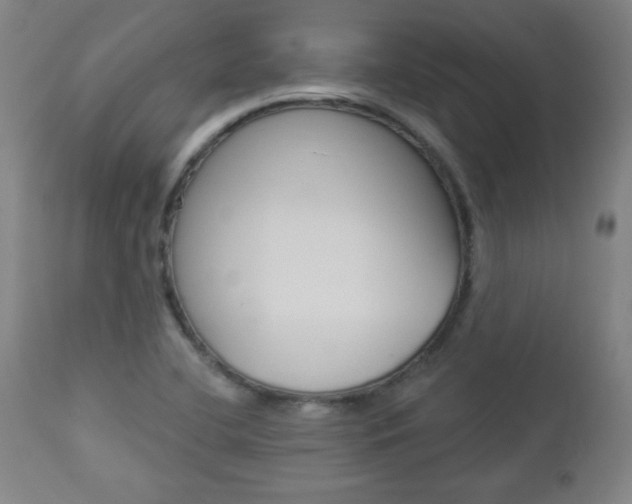X0000112961412200908270908