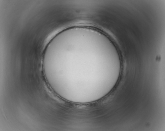 X0000112961413200908270908