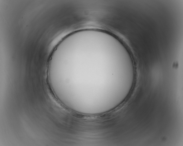 X0000112961415200908270908