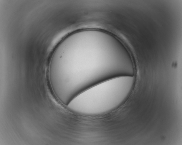 X0000112961416200908270908