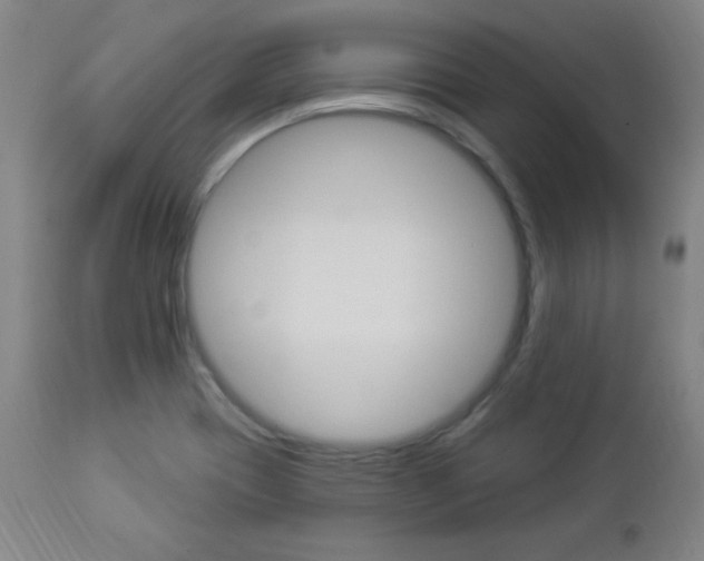 X0000112961417200908270908