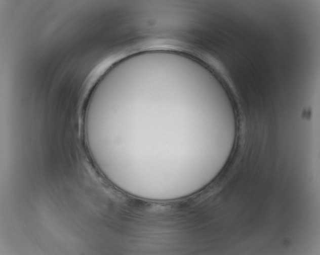 X0000112961419200908270908